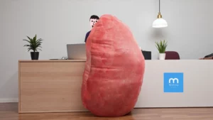 รับผลิตหมอนอิงขนาดใหญ่พิมพ์ลาย Die Cut